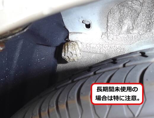 自家用車蜂の巣
