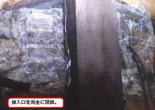 蜂侵入口閉鎖