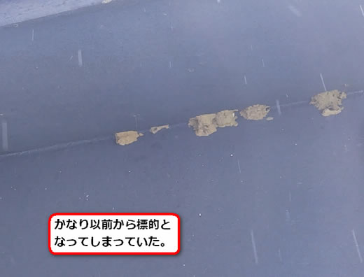 ドロバチの巣駆除軒下