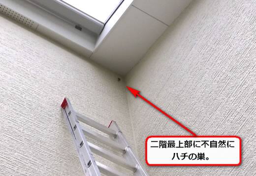 蜂の巣二階外壁