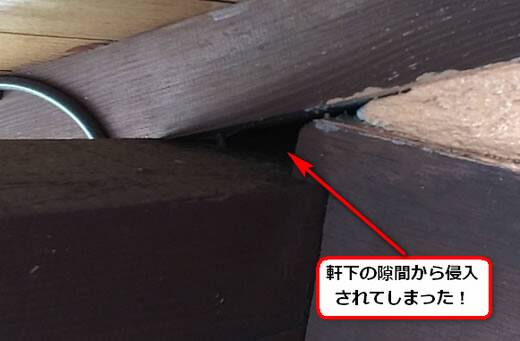 スズメバチ侵入口軒下