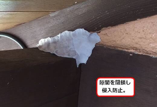 スズメバチ侵入口閉鎖