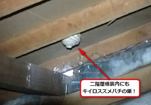 キイロスズメバチの巣駆除