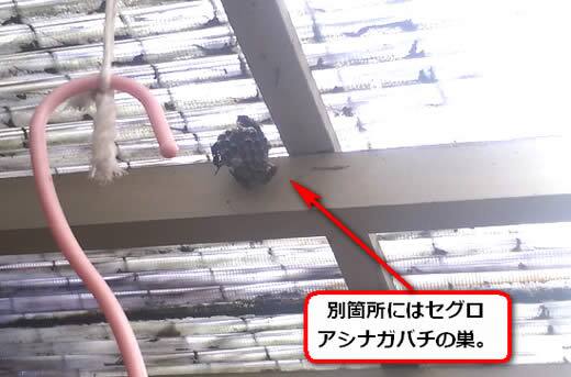 アシナガバチ駆除雨避け屋根