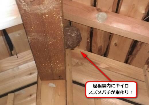 スズメバチ駆除屋根裏