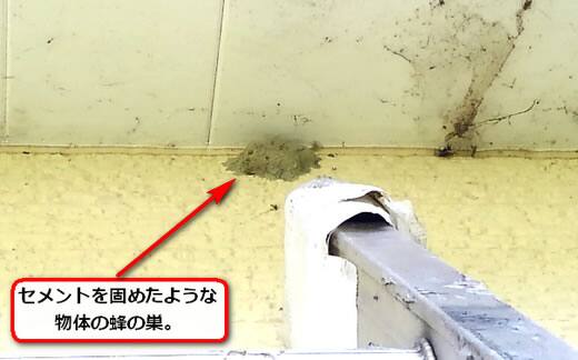 ドロバチの巣二階軒