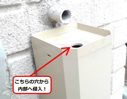 バルコニー排水口蜂