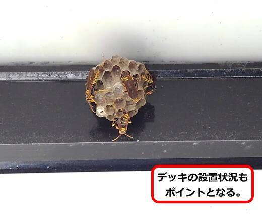 デッキ裏側蜂の巣