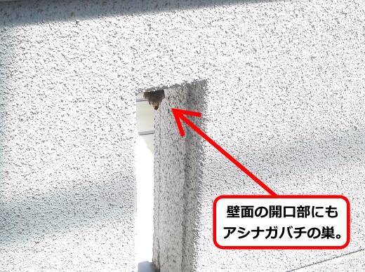 開口部蜂の巣