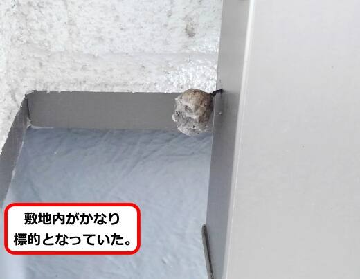 屋根支柱蜂の巣