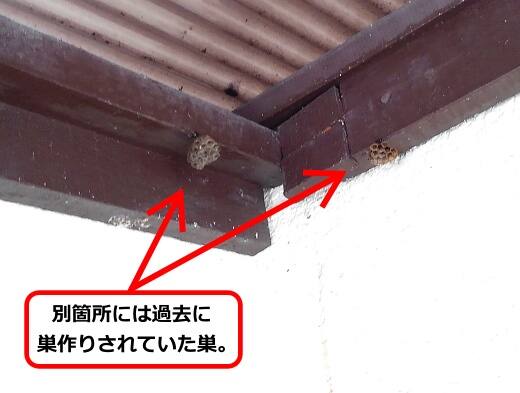 トタン屋根過去巣