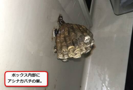 アシナガバチの巣メーターボックス