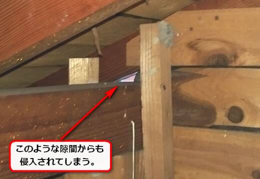 屋根裏ハチ侵入口