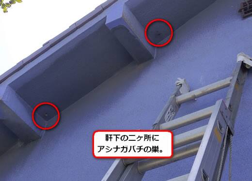 アシナガバチ駆除軒下