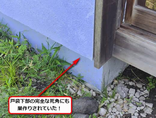 アシナガバチ駆除戸袋下部
