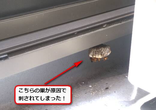 ベランダハチの巣