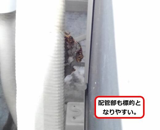 室外機配管蜂の巣