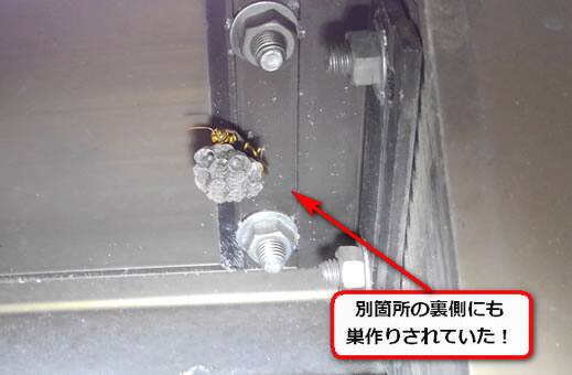 ハチ階段裏側
