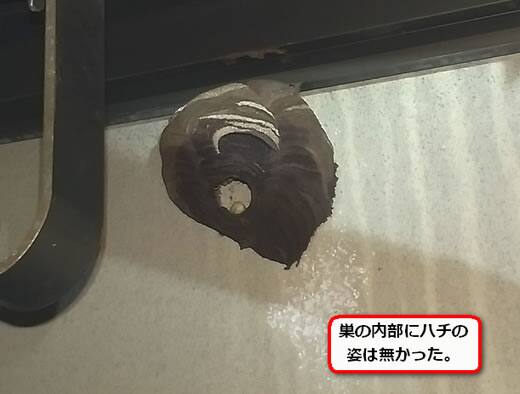 コガタスズメバチの巣駆除