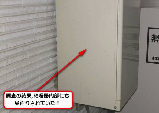 アシナガバチ駆除ガス給湯器