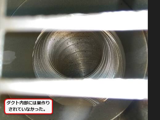 アシナガバチ換気口ダクト