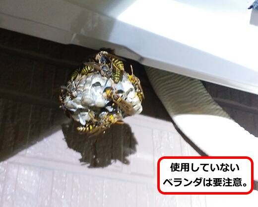 室外機底面蜂の巣
