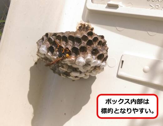 電気メーター蜂の巣