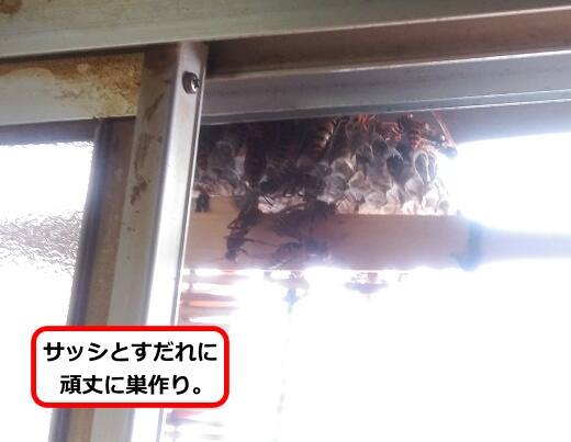 窓サッシ上部蜂の巣