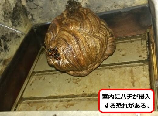 換気口スズメバチ巣