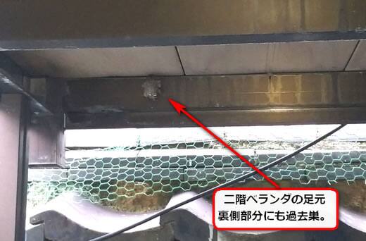 アシナガバチ過去巣