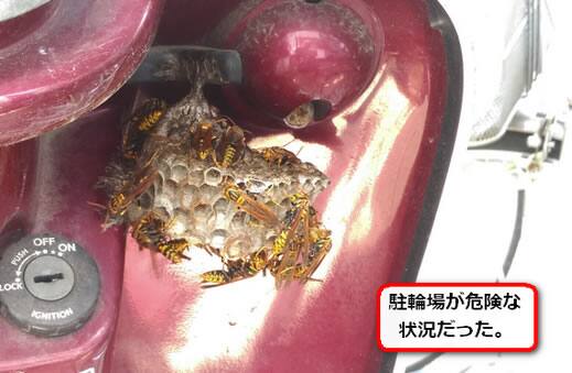 スクーター蜂の巣