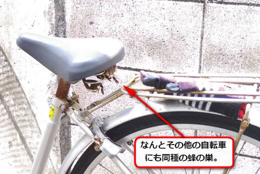 自転車蜂の巣
