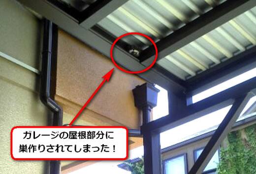 アシナガバチ駆除ガレージ