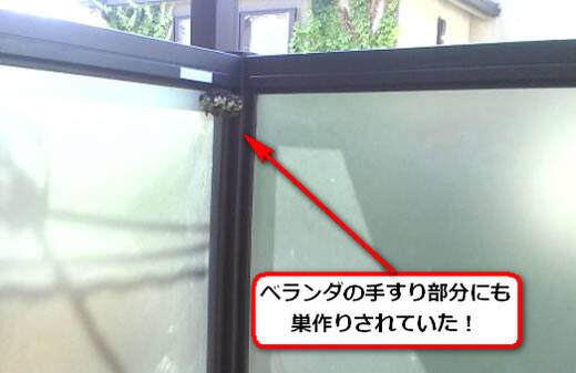 アシナガバチ駆除ベランダ