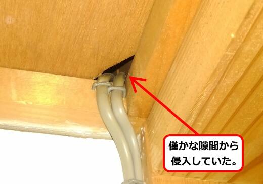 室内ハチ侵入口