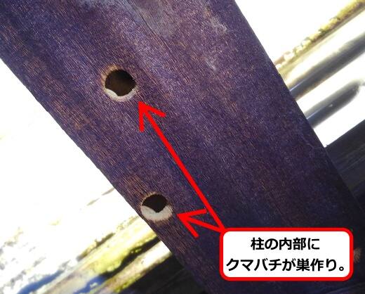 柱内部クマバチ巣