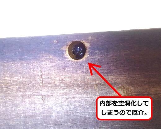 屋根木部蜂の巣