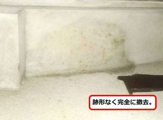 スズメバチ巣撤去