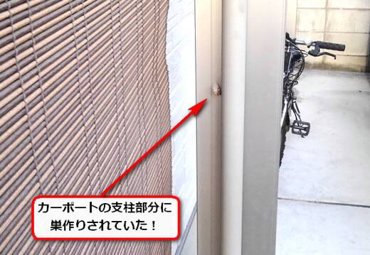 蜂の巣カーポート