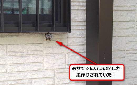 蜂の巣ガレージ窓