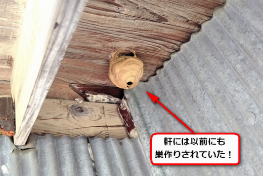 軒下スズメバチ巣