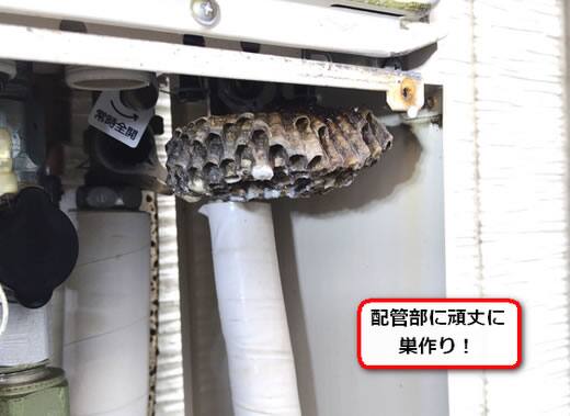 給湯器内部蜂の巣
