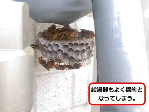 給湯器配管蜂の巣