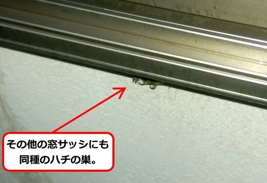 窓サッシ蜂の巣