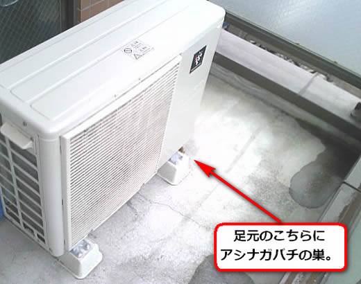 アシナガバチ駆除室外機